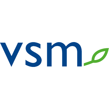 VSM