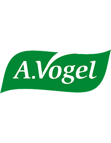 A. Vogel
